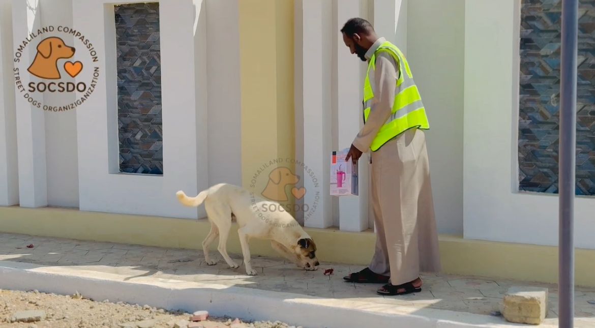 whatsapp image 2025 11 24 at 17.52.54 87de13ef