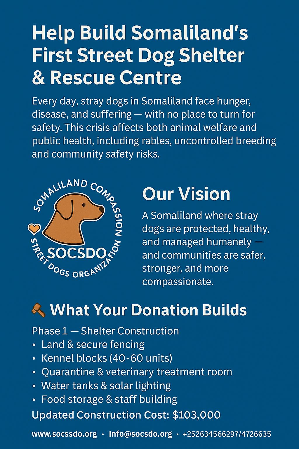 Services socsdo our vision